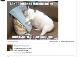 Смешные комментарии из социальных сетей 21.11.14