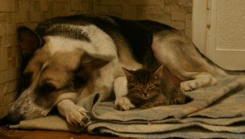 А это вот наши два чуда =)