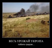 Сводки от ополчения Новороссии