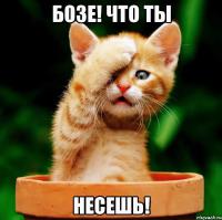 Самый счастливый день болельщика Спартака