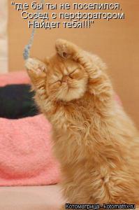 Загадки человеческой психики: Влияние шума