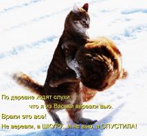 Женщина врёт, когда говорит что...