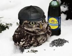 Чоткие пацаны и девчонки