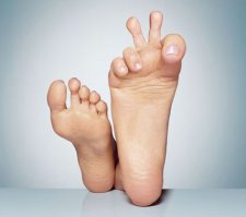 20 собак, которые очень ждут рождения малышей