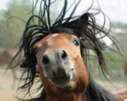 Вячеслав Фетисов вернулся в руководство КХЛ