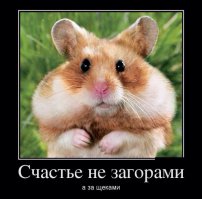 Щекастые хомяки