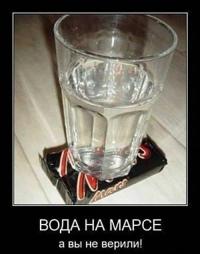 Картинки "В буквальном смысле слова" иллюстратора Игоря  Калашникова