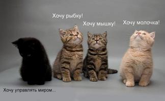 Чемодан с сюрпризом