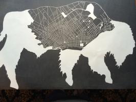 А это случайно не карта города Buffalo?