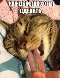 А я не хотел так сделать. Ну нету у меня ни капли садизма, что поделать.