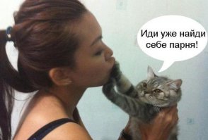 17 животных, которые сыты по горло этими вашими обнимашками