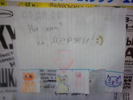  Хорошее настроение в хорошие руки