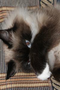 Они следят за нами.