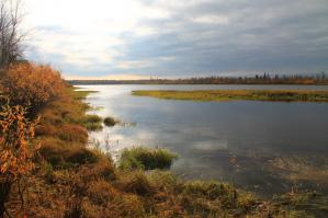 Фотоподборка за 16.10.2014