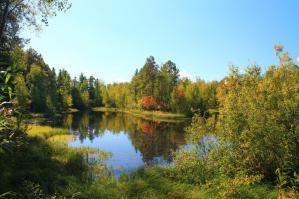 Фотоподборка за 16.10.2014