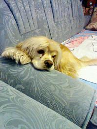 Любимый антидепрессант...  Вообще без него свою жизнь не представляю...