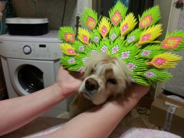 Прикольно, некоторые идеи надо позаимствовать.. Сама этим увлекаюсь.
1. Первая попытка;
2. Усложненный вариант;
3. Хвост от павлина (чуть-чуть осталось доделать)