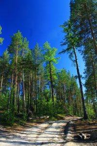 Лето, ах лето... 
Для любителей зимы - Где я живу говорят, что до 1 июля еще не лето, а после 15 июля - уже не лето. А вот зимушка как в октябре наступила, так дай Бог в конце апреля уйдет... Так что Я ТОЖЕ ЖДУ ЛЕТО!!!!!