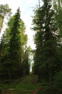 ХМАО-Югра Белоярский район...