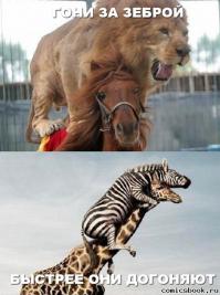 Неудачные фотографии с животными