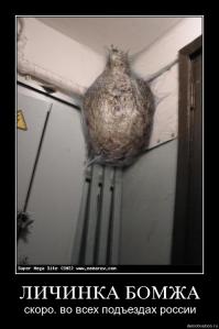 Рогатый Дьявол Гикори превращается в ...