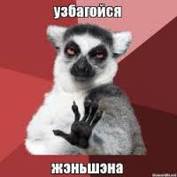Прелести в плацкарте