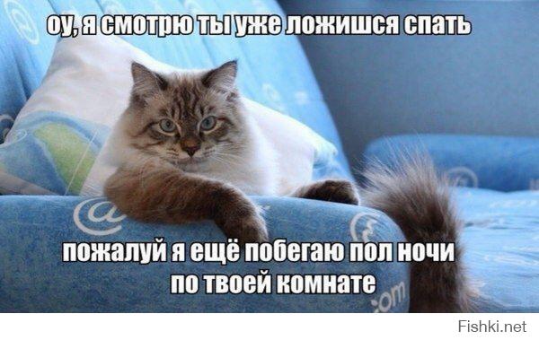 На моего КОТА похож...