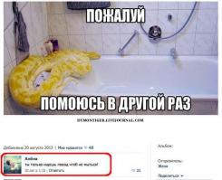 Смешные комментарии из социальных сетей