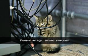 у меня такое было и не раз, только плюс "нет модема, нет наушников, нет фена, нет ....много чего нет".....