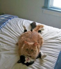 прикольно)))) у меня есть похожая фотка из личного архива) щас покажу!