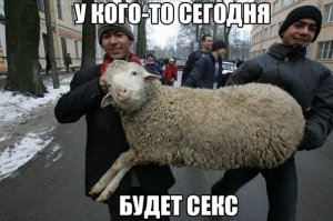 Купидон подшутил