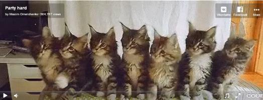 Поймал себя на том, что тоже сижу и трясу головой