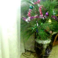 Сосновые ветки в напольной вазе