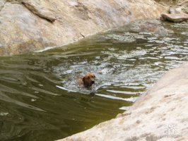 Все фото пустыня Арава.
