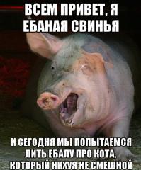 Фишкина солянка за 20.05.2014