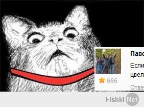 Селфи для фишек