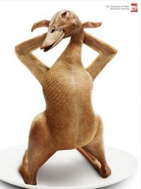 Портреты моделей без фотошопа