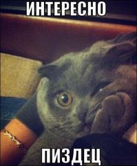 так не лучше?