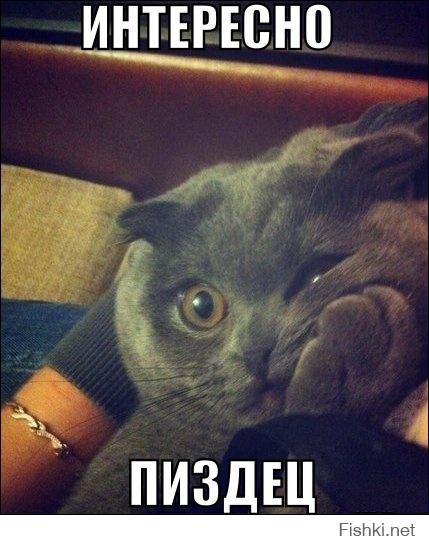 так не лучше?