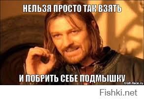 У меня Фредди ассоциируется с небритыми подмышками, творчество так себе.