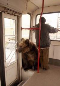 А в это время где то в России ))