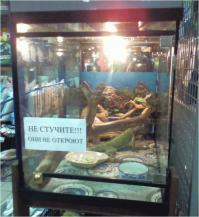 Фишкина солянка за 07.06.2014 