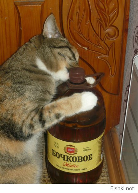 Имидж ни что! Жажда - ВСЕ!!!!!!!!!
