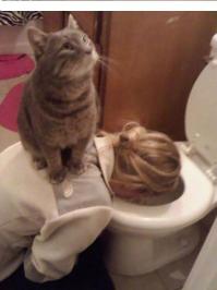 Блондинки...