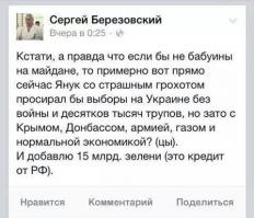 Прощение у В.В.Путина и жителей России