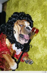 А вот и мой питомец)