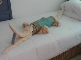 тоже в этом году были в Ебипте и там нас похоже удивляли