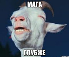 21 вдохновляющая цитата козочек 