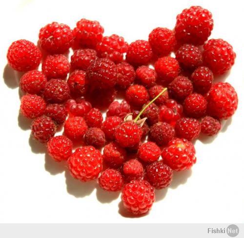 Фишкина солянка за 20.02.2014