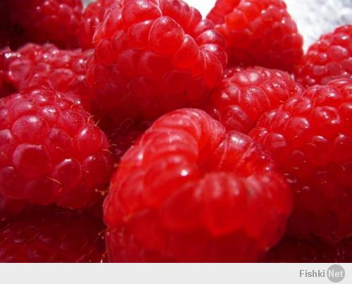 Фишкина солянка за 20.02.2014